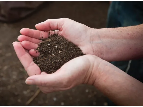 Two hands holding soil