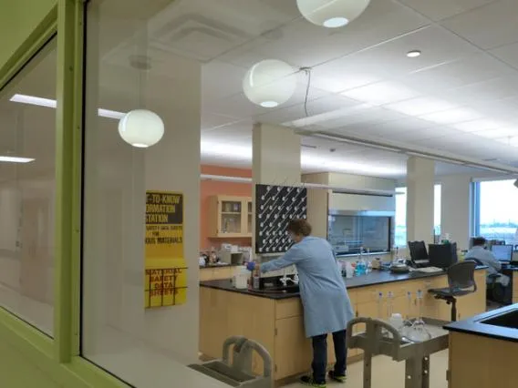 Photo of someone working in the microbiology labs at WEST Center