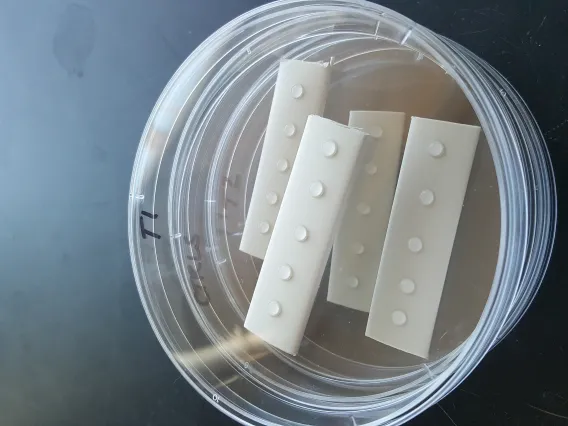 Surface type inoculated with virus, used for evaluation of disinfection