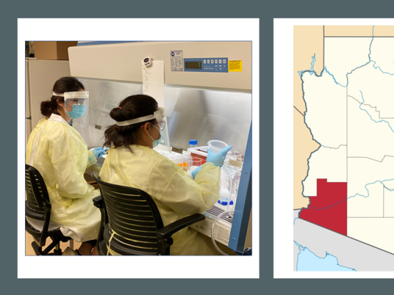 Pictures side by side: Lab technicians working on research and a map of Arizona with Yuma County highlighted