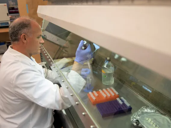 Scientist working in a laboratory.