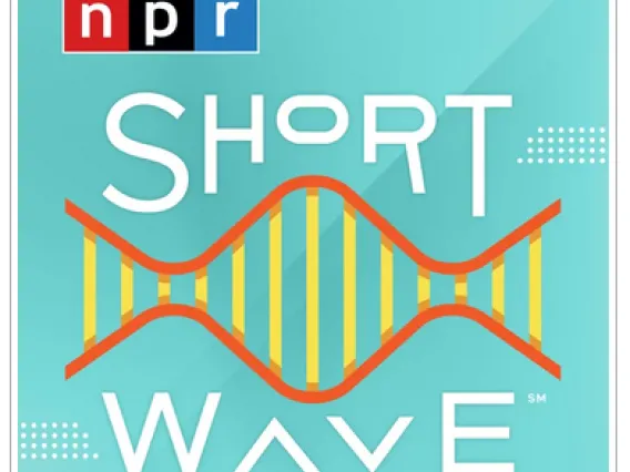 NPR Shortwave podcast logo image