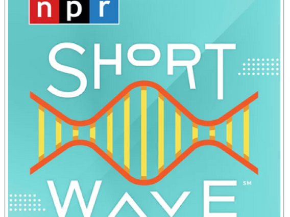 NPR Shortwave podcast logo image
