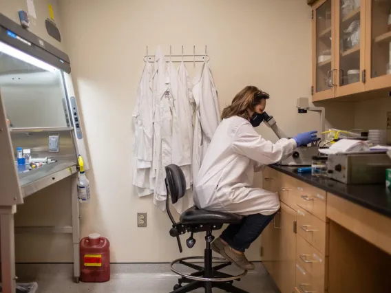Scientist working in a laboratory.