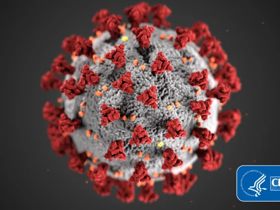 Microscopic image of COVID-19