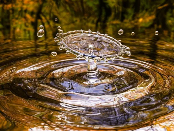 Close-up shot of a water droplet in a larger pool of water.