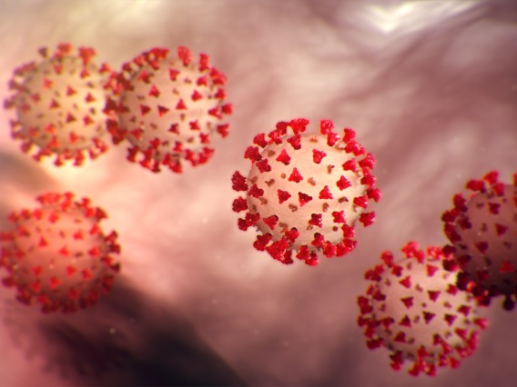 Coronavirus particle 3d illustration
