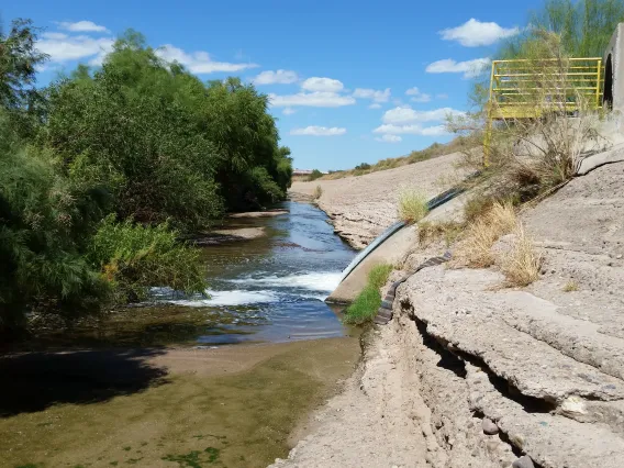 Water draining into a wash