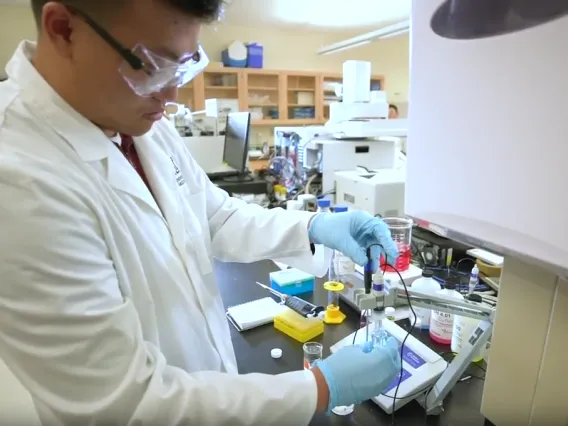 Researcher working in lab