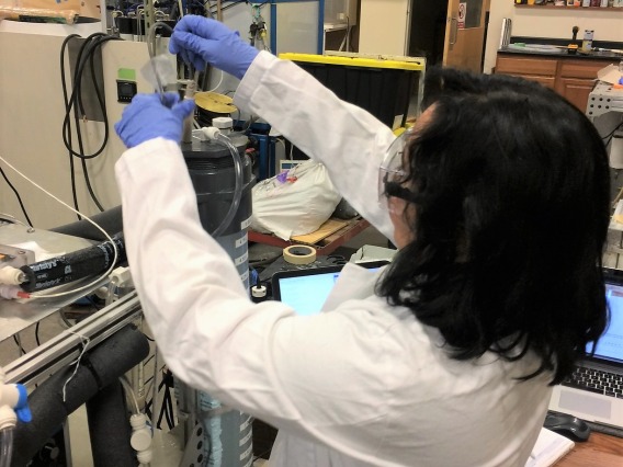 UA student Casandra Flores works on the bench-scale membrane distillation (MD) system