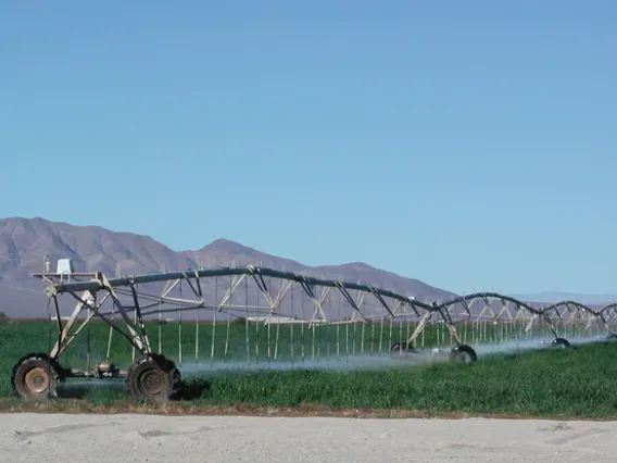 Crop field being irrigated by machinery