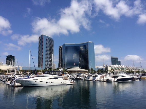 Photo of a harbor in San Diego, California