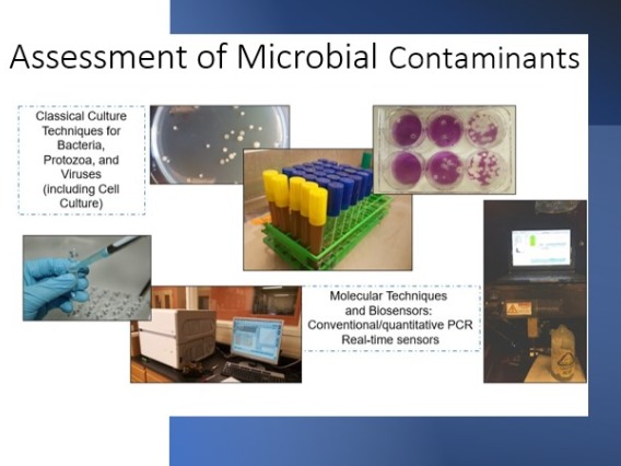 Assessment of Microbials