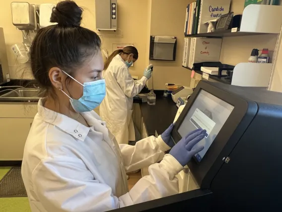 YCEDA laboratory staff monitor wastewater for Candida auris.