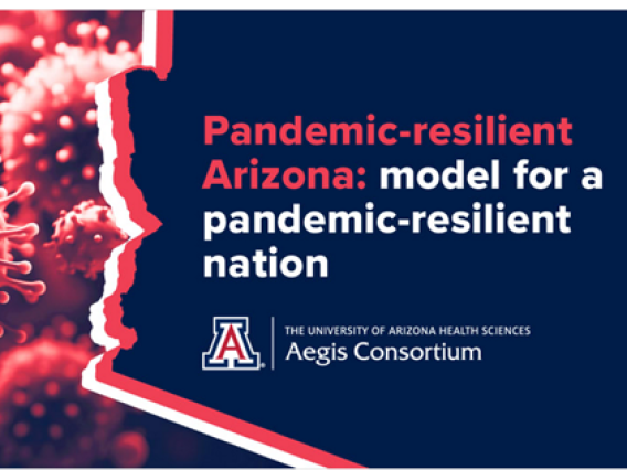 Pandemic resilient Arizona: model for a pandemic resilient nation