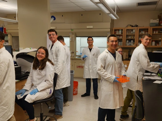 Students working in a microbiology laboratory