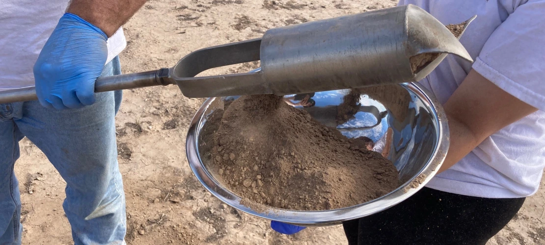 Soil sample