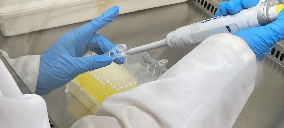Working in biosafety cabinet at WEST Center