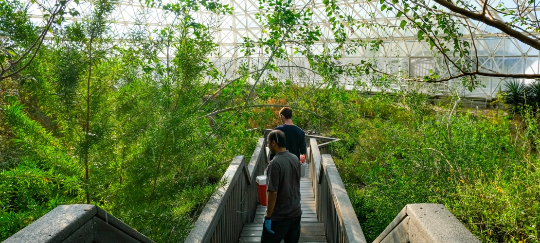 The Biosphere 2 facility allows researchers to conduct experiments under muliple environmental conditions.