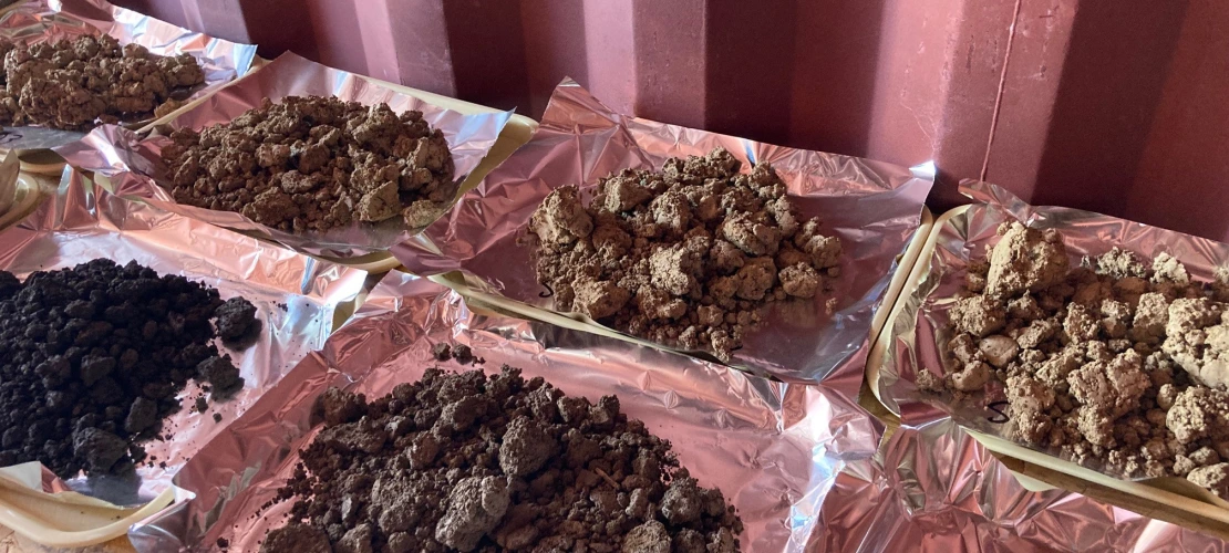 Soil samples drying on trays