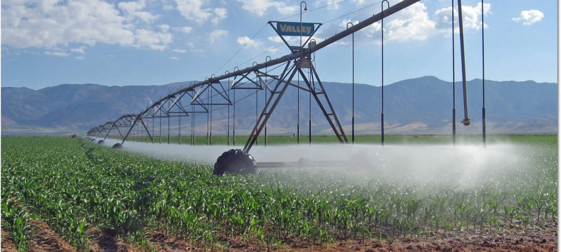 Surface irrigation of Arizona crop