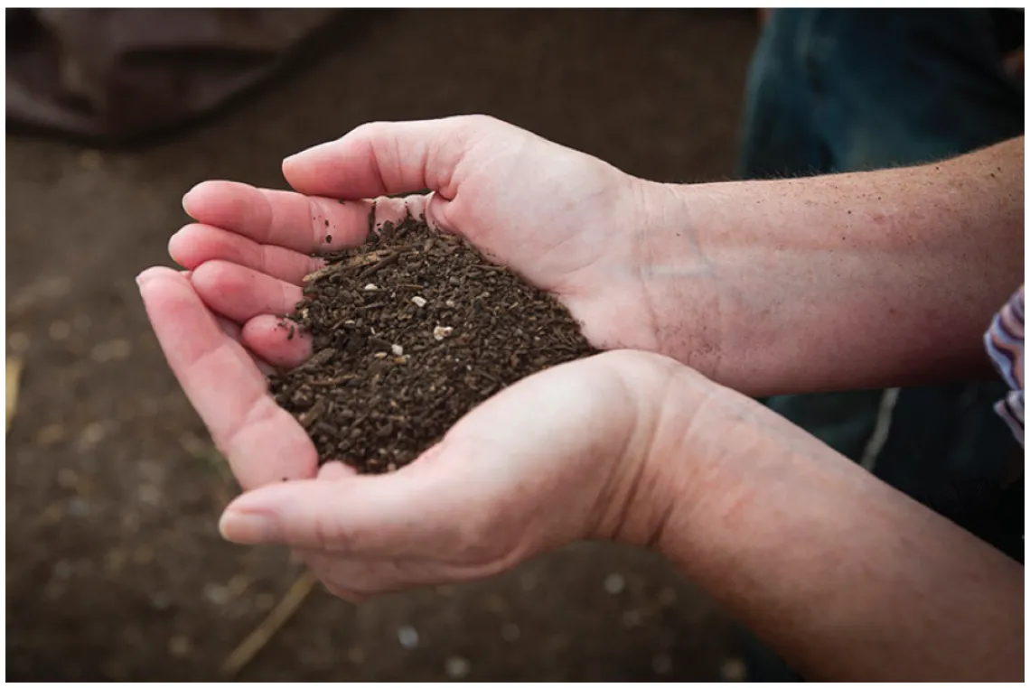 Two hands holding soil