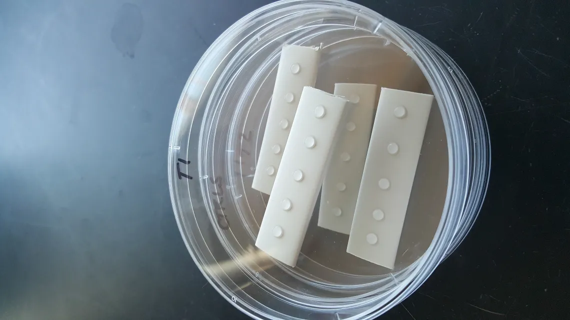 Surface type inoculated with virus, used for evaluation of disinfection