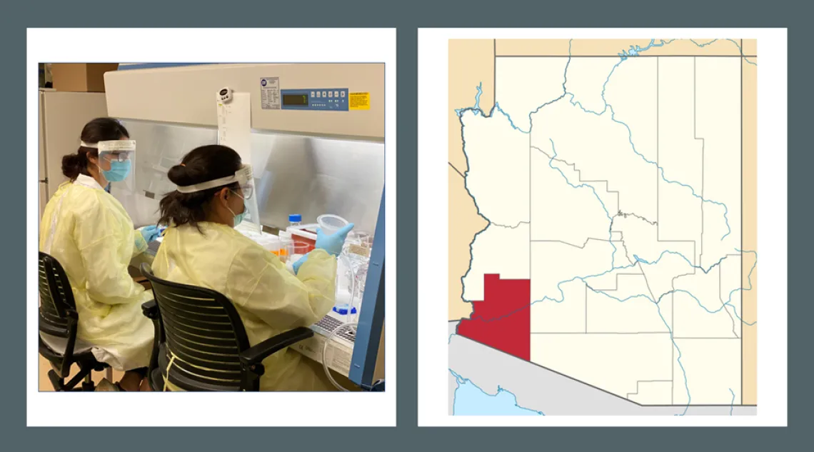 Pictures side by side: Lab technicians working on research and a map of Arizona with Yuma County highlighted