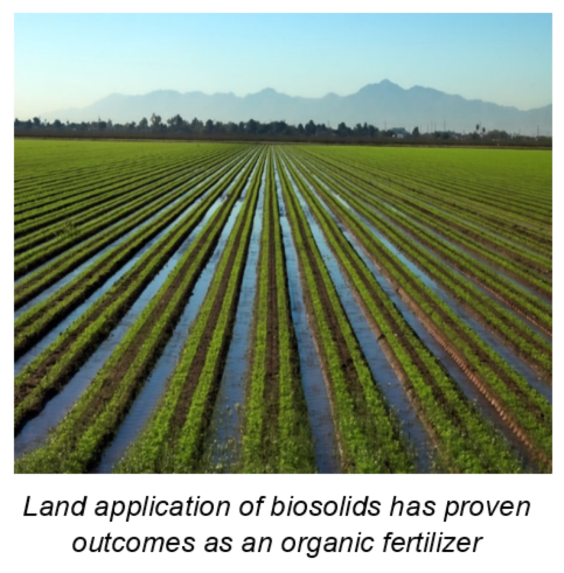 Photo of a field with caption that reads: Land application of biosolids has proven outcomes as an organic fertilizer