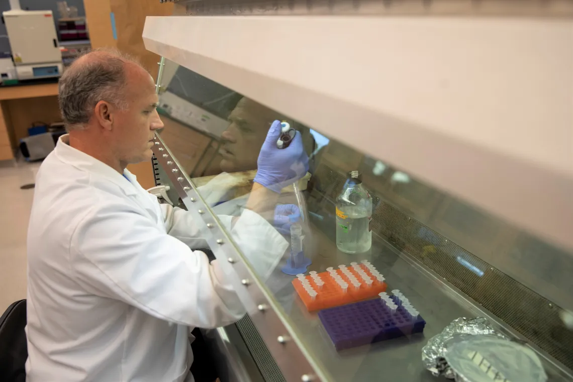 Scientist working in a laboratory.