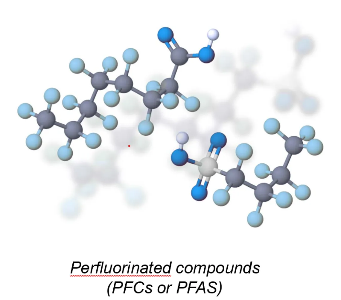 Illustrated molecule model of PFAS that reads: Perflourinated compounds (PFCs or PFAS)