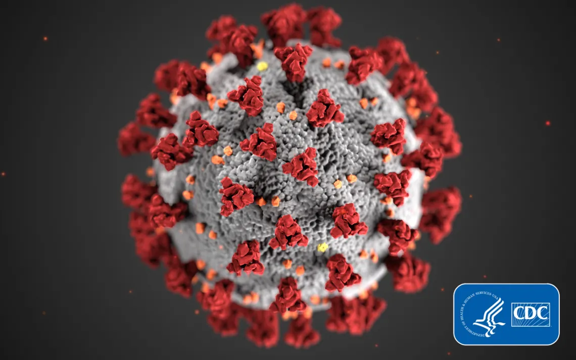 Microscopic image of COVID-19