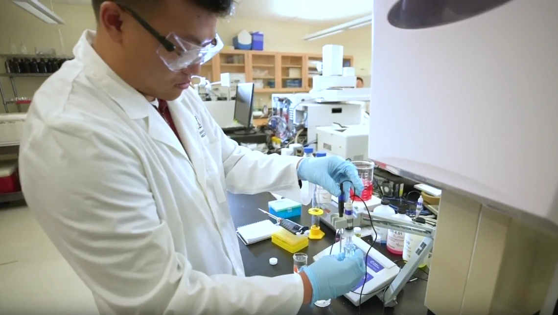 Researcher working in lab