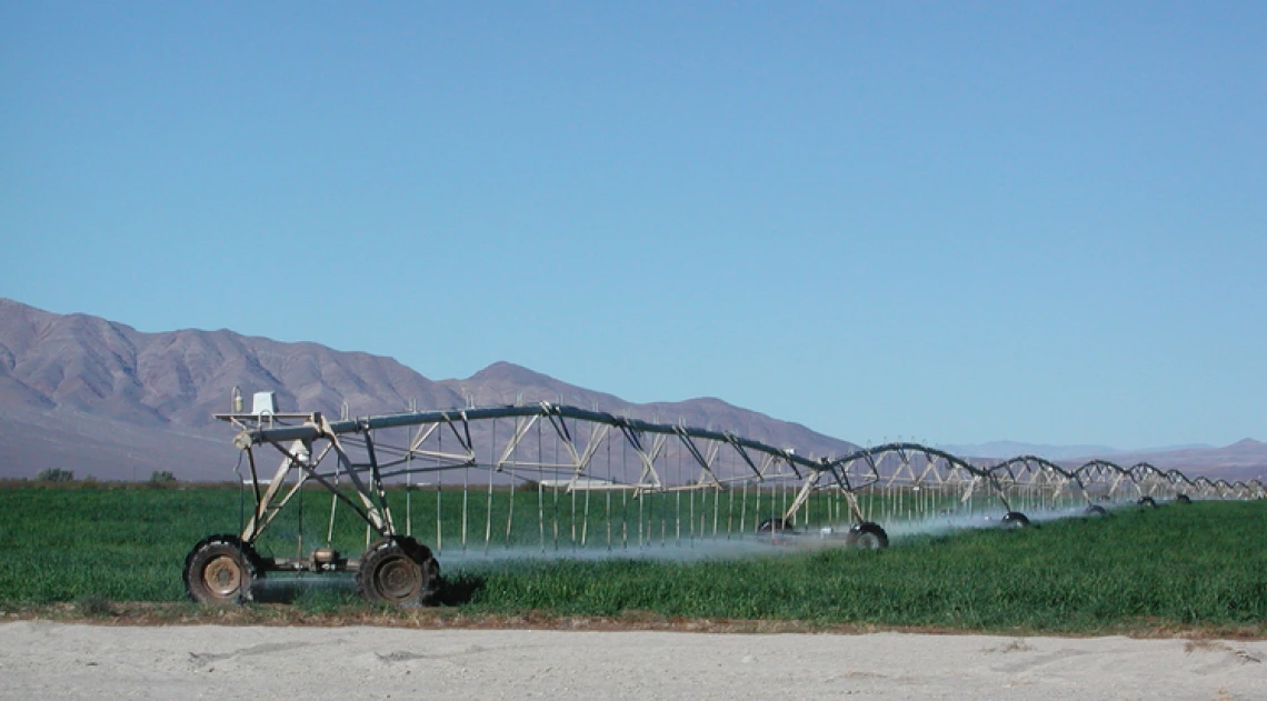 Crop field being irrigated by machinery