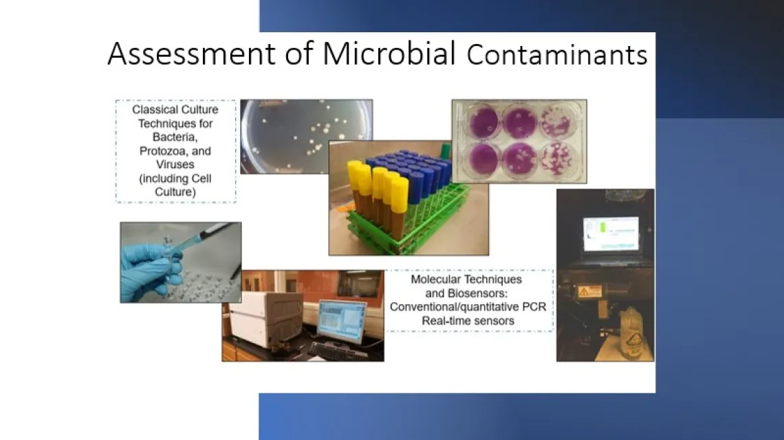 Assessment of Microbials