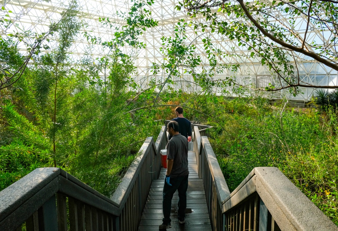 The Biosphere 2 facility allows researchers to conduct experiments under muliple environmental conditions.