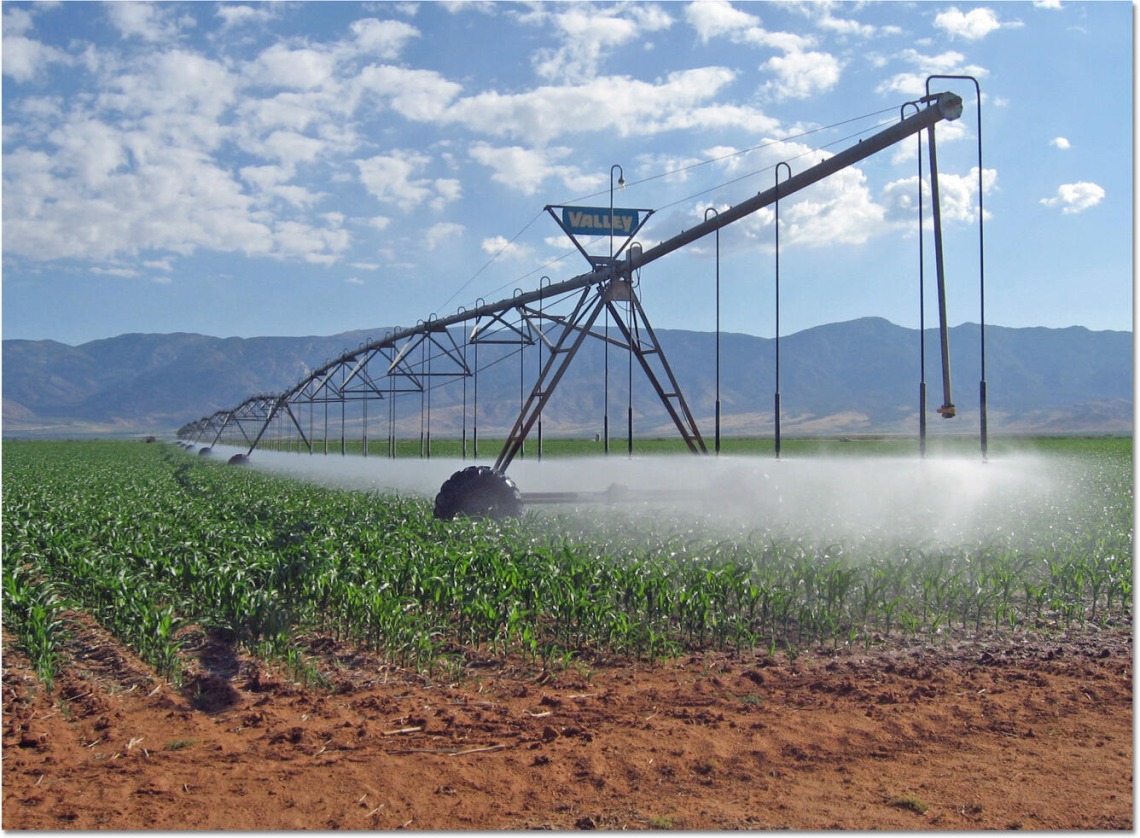 Surface irrigation of Arizona crop