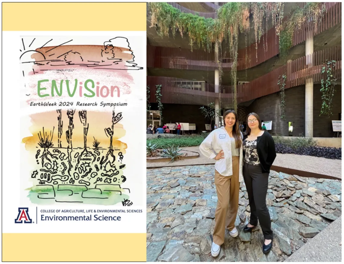 ENViSion poster & photo