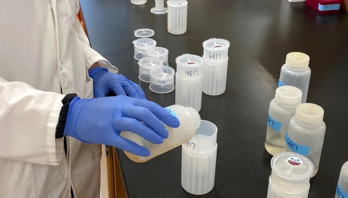 Technician filling water bottles in a laboratory