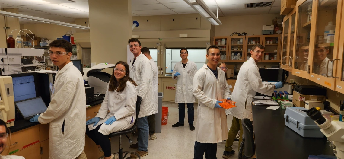 Students working in a microbiology laboratory