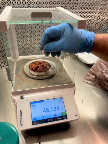 Researcher using a scale to measure the weight of a soil sample