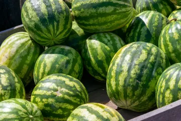 Watermelons