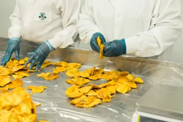 Gloved workers processing dried fruit in a food packing plant