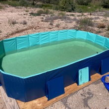 Partially filled experiment pool