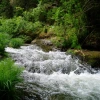 River water running by vegetation